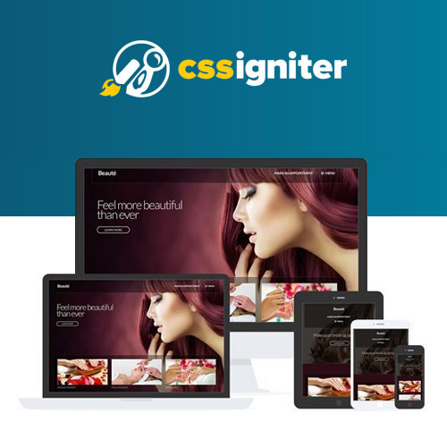 CSS Igniter Beaute WordPress Theme CSS Igniter Beaute WordPress Theme