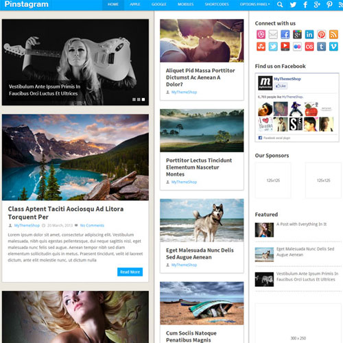 MyThemeShop Pinstagram WordPress Theme MyThemeShop Pinstagram WordPress Theme